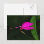 Blume Postkarte (Vorne/Hinten)