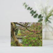 Blume Postkarte (Stehend Vorderseite)