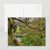 Blume Postkarte (Vorne/Hinten)