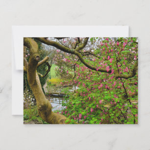 Blume Postkarte