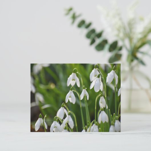 Blume Postkarte (Stehend Vorderseite)