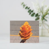 Blume Postkarte (Stehend Vorderseite)