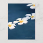 Blume Postkarte (Vorderseite)