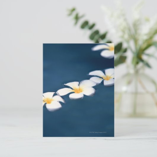 Blume Postkarte (Stehend Vorderseite)