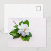 Blume Postkarte (Vorne/Hinten)