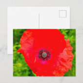 Blume Postkarte (Vorne/Hinten)