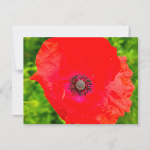 Blume Postkarte