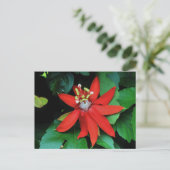 Blume Postkarte (Stehend Vorderseite)