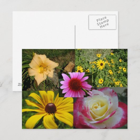 Blume Postkarte (Vorne/Hinten)