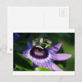 Blume Postkarte (Vorne/Hinten)
