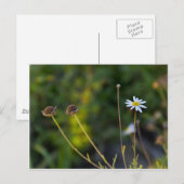 Blume Postkarte (Vorne/Hinten)