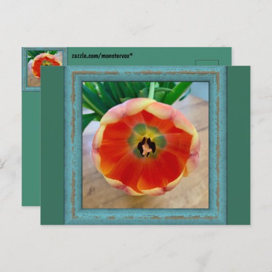 Blume Postkarte (Vorne/Hinten)