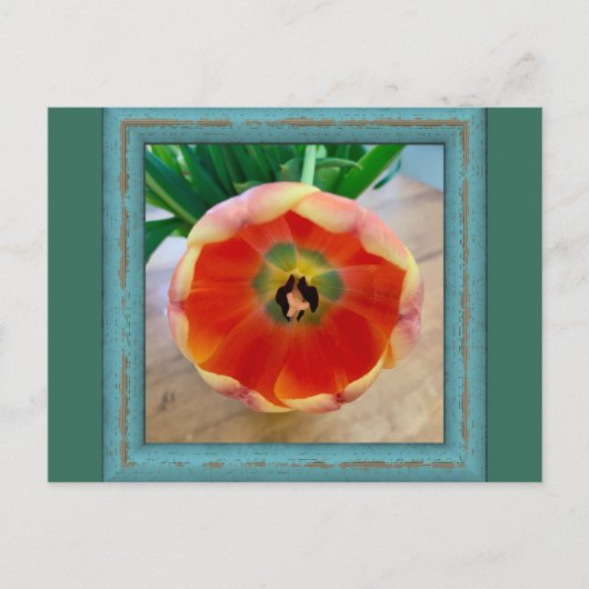 Blume Postkarte (Vorderseite)