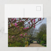 Blume Postkarte (Vorne/Hinten)