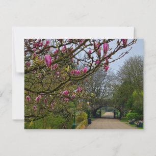 Blume Postkarte