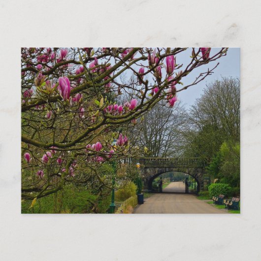 Blume Postkarte (Vorderseite)