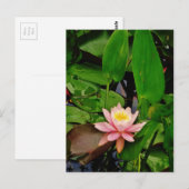 Blume Postkarte (Vorne/Hinten)