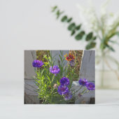 Blume Postkarte (Stehend Vorderseite)