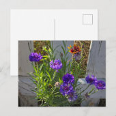 Blume Postkarte (Vorne/Hinten)