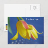 Blume - Postkarte (Vorne/Hinten)