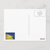 Blume - Postkarte (Rückseite)