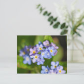 Blume Postkarte (Stehend Vorderseite)