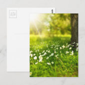 Blume Postkarte (Vorne/Hinten)