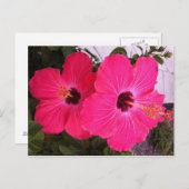 Blume Postkarte (Vorne/Hinten)