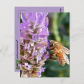 Blume Postkarte (Vorne/Hinten)