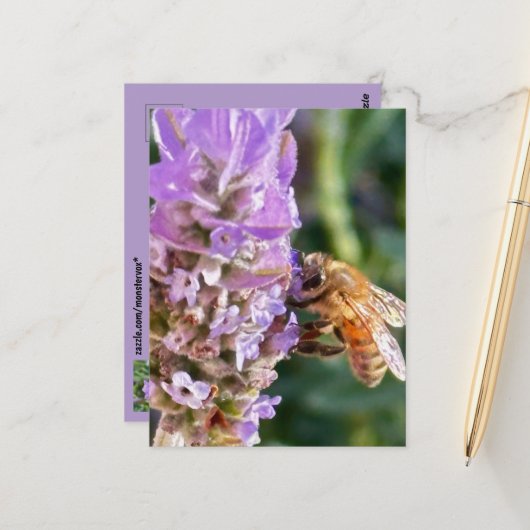 Blume Postkarte (Vorderseite/Rückseite Beispiel)