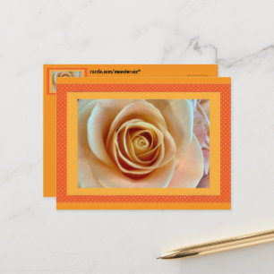 Blume Postkarte