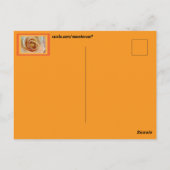 Blume Postkarte (Rückseite)