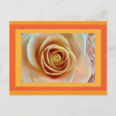 Blume Postkarte (Vorderseite)