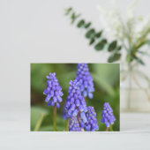 Blume Postkarte (Stehend Vorderseite)