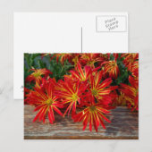 Blume Postkarte (Vorne/Hinten)