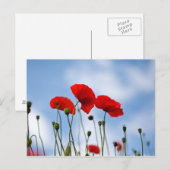 Blume Postkarte (Vorne/Hinten)