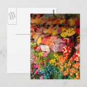 Blume Postkarte (Vorne/Hinten)