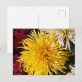Blume Postkarte (Vorne/Hinten)