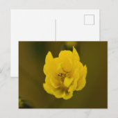 Blume Postkarte (Vorne/Hinten)