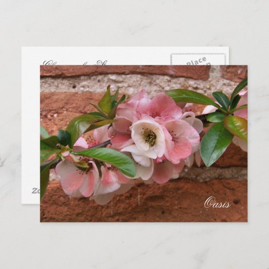 BLUME POSTKARTE (Vorne/Hinten)