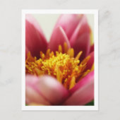 Blume Postkarte (Vorderseite)