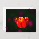 Blume Postkarte (Vorne/Hinten)