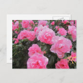 Blume Postkarte (Vorne/Hinten)