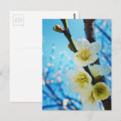 Blume Postkarte (Vorne/Hinten)