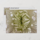 Blume Postkarte (Vorne/Hinten)