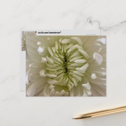 Blume Postkarte (Vorderseite/Rückseite Beispiel)