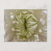 Blume Postkarte (Vorderseite)