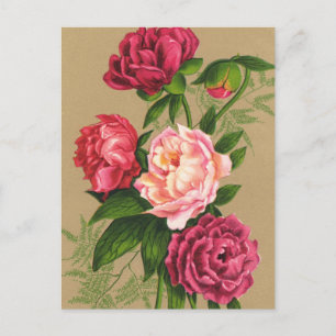 Blume Postkarte