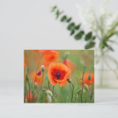 Blume Postkarte (Stehend Vorderseite)