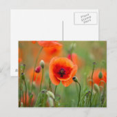 Blume Postkarte (Vorne/Hinten)